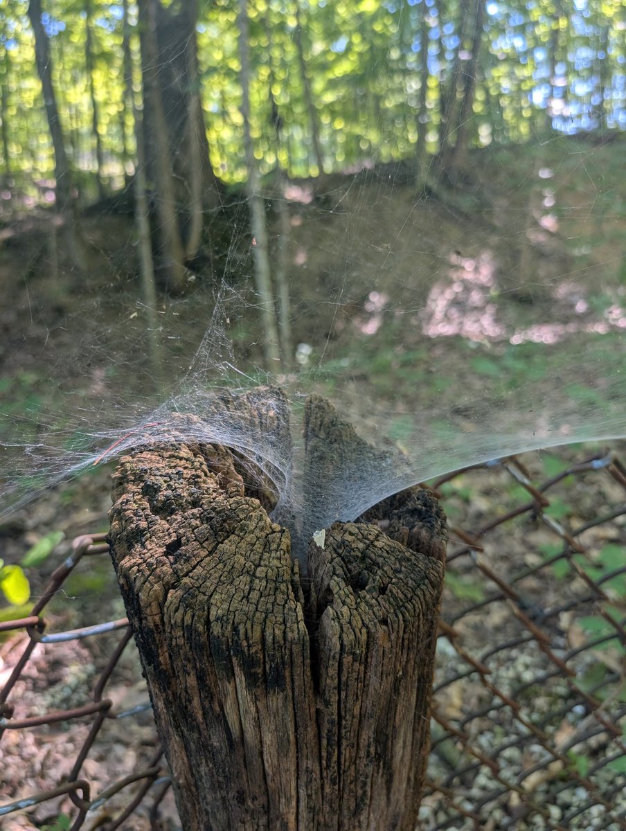 I almost wanted to see this guy come out, but I decided not to be the pest.