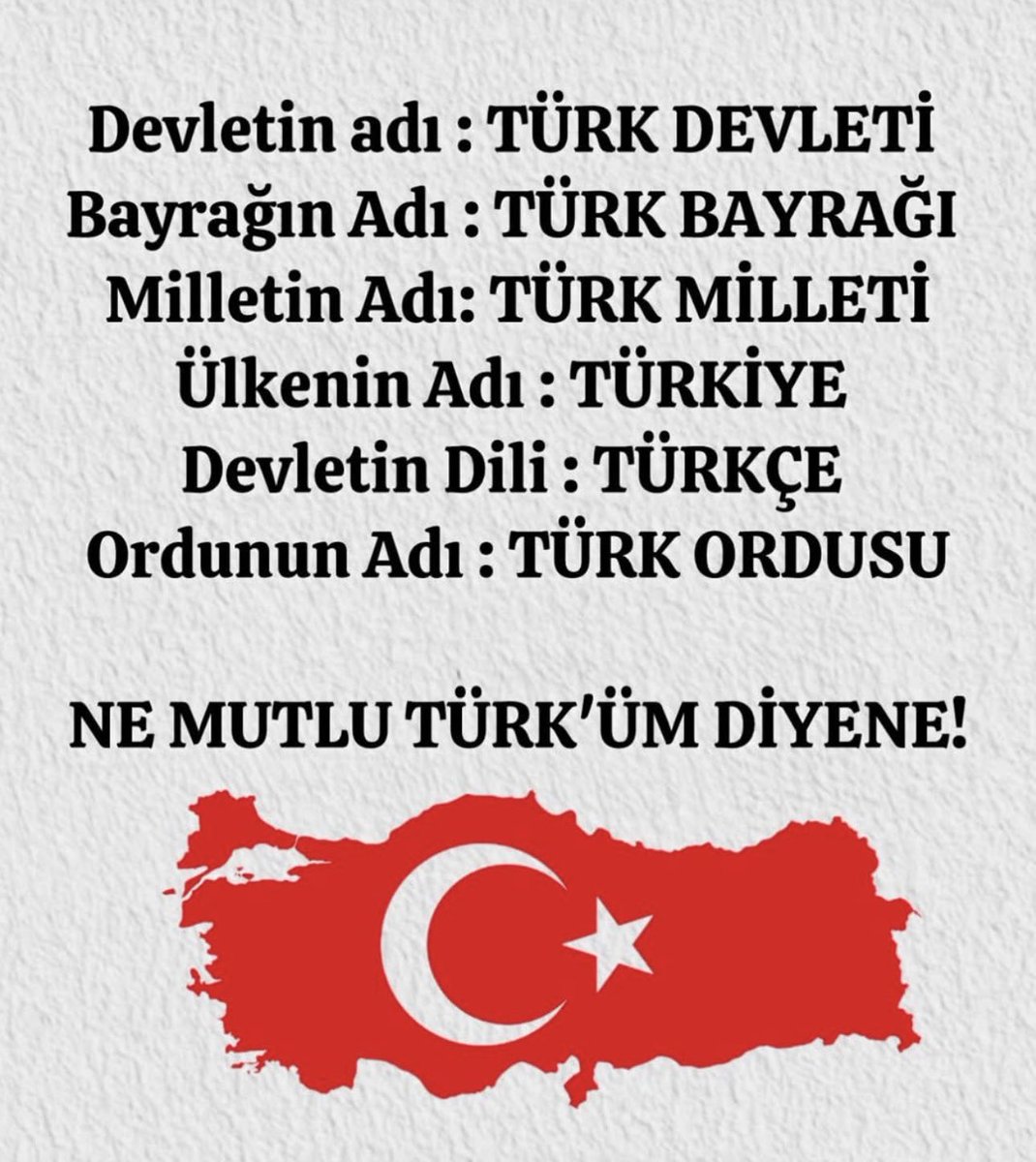 AylinEr (@aylinerk) on Twitter photo 