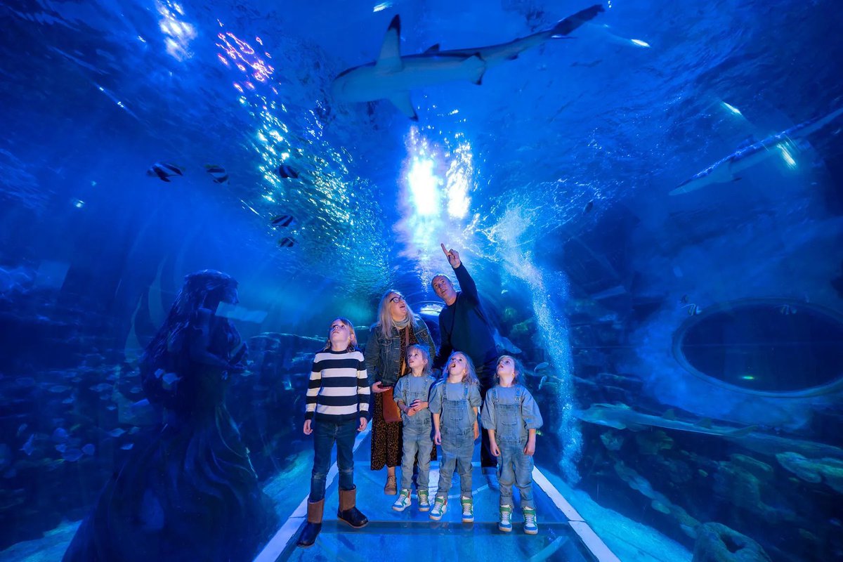 Merlin shelves plans to sell some UK-based Sea Life #aquariums tinyurl.com/3jpc6xs5