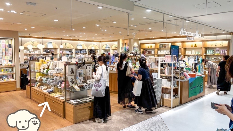 ルミネ北千住7階のアフタヌーンティーで、8/10〜2ヶ月間ポップアップを開催しています🐶🫖🖼️☘️