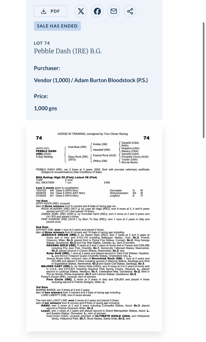 Adam Burton (@adamburton04) on Twitter photo Delighted to have secured another lot from yesterday’s <a href="/tatts_online/">Tattersalls Online</a> sales.
Pebble Dash, a 1/2 brother to multiple time winner Zaman Jemil (Highest OR 92).
He looks an AW horse who will be plenty of fun 🤩😮💨🥳
Thanks to the <a href="/tomcloverracing/">Tom Clover Racing</a> team for selling him to me.👌 Delighted to have secured another lot from yesterday’s <a href="/tatts_online/">Tattersalls Online</a> sales.
Pebble Dash, a 1/2 brother to multiple time winner Zaman Jemil (Highest OR 92).
He looks an AW horse who will be plenty of fun 🤩😮💨🥳
Thanks to the <a href="/tomcloverracing/">Tom Clover Racing</a> team for selling him to me.👌