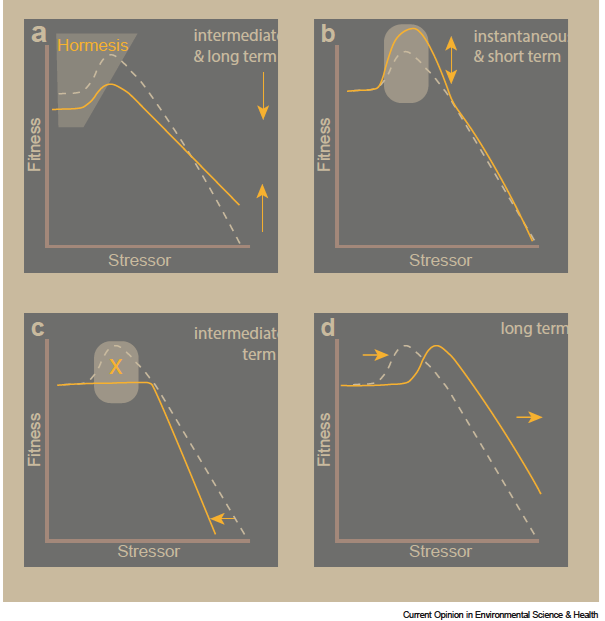 We often assume dose-response curves to stay invariable in time but this is not the case - with Costas Saitanis &amp; Evganios Agathokleous:

authors.elsevier.com/a/1lbkU8nIePm0…