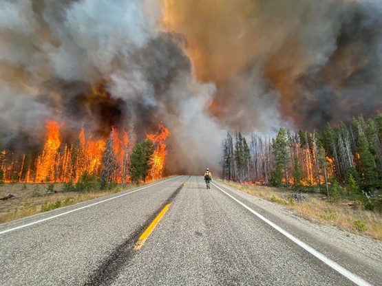 We’re partnering with the @ForestService to support sawmills who are critical in processing the excessive fuel loads in national forests that lead to catastrophic wildfire. Learn more here: tinyurl.com/RBCS-TPEP
