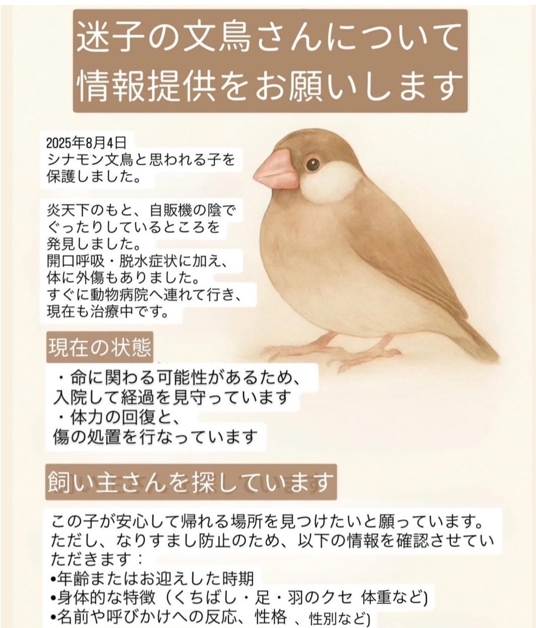 ももちゃん專用ページ マザーガーデン きせかえ ぬいぐるみ Sサイズ うさももちゃん