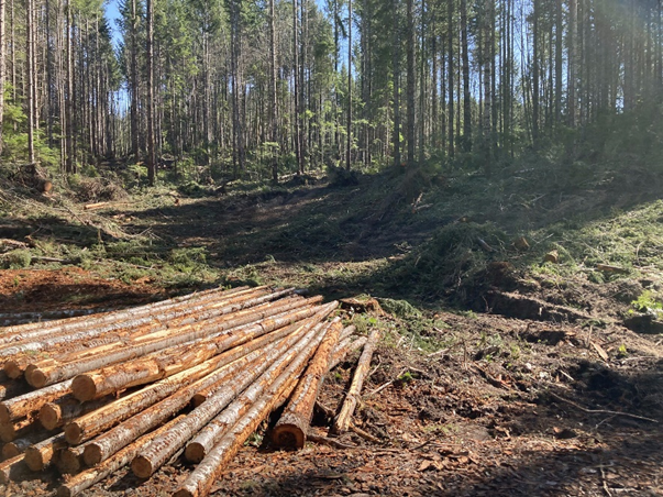 The health of our nation’s forests is linked to local sawmill operations that process wood from restoration projects. Our Timber Production and Expansion Program helps support sawmills near National Forests. tinyurl.com/RBCS-TPEP