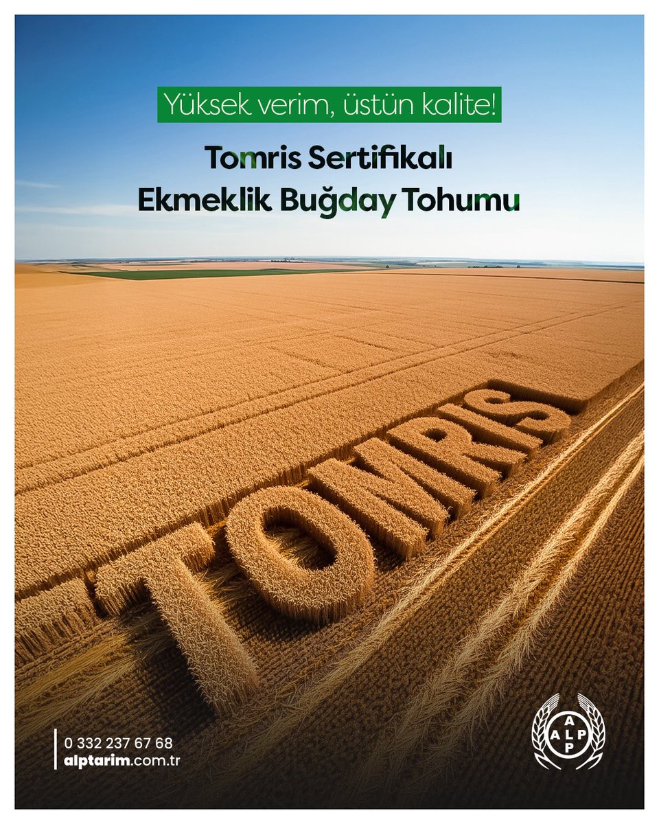 Yüksek verim, üstün kalite!
✔ 600–1020 kg/da verim potansiyeli
✔ %14–16 protein
✔ 84 kg/hl hektolitre ağırlığı
✔ %60 un verimi
✔ Hastalıklara karşı dayanıklı 

#TomrisEkmeklikBuğday #AlpTarım #BereketliGelecek