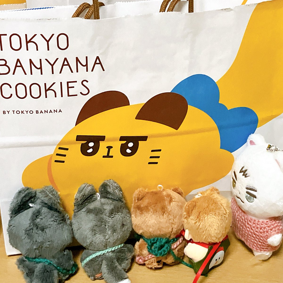 moyashiyasuiz's tweet photo. ばにゃーーー！！ぬいぐるみは我慢しました。

🐹 オーナー、きょうだい増えてもマヴトリ達は問題ないよ！

👤 えぇ？！ また行く機会があったらお迎えしようかな…💭 https://t.co/V9jEC8djja