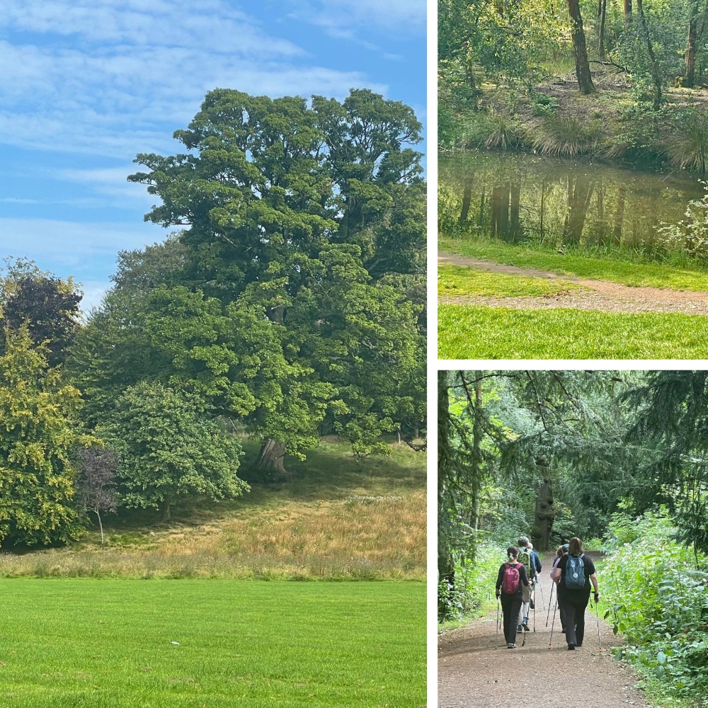 This week's NORDIC WALKING NATURE WALK picture's of the week. The sun was out and the early start ensured we missed the heat!

TO ALL OUR PILATES CLIENTS: Remember you have the rest of August to join us for a Nordic Walking class for FREE! Give it a try!