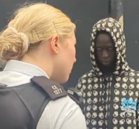 J C Adams tweet media