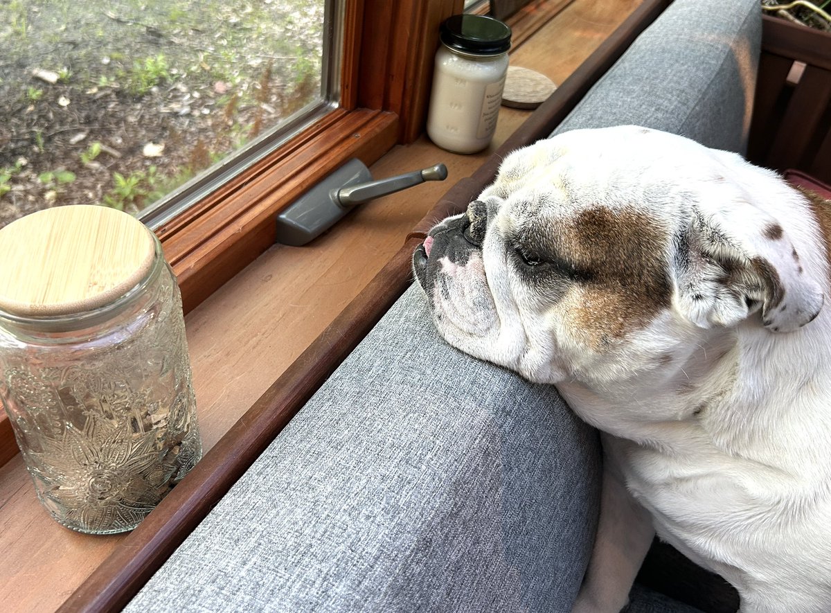 Cookie jar my cookie jar.  How I love my cookie jar.