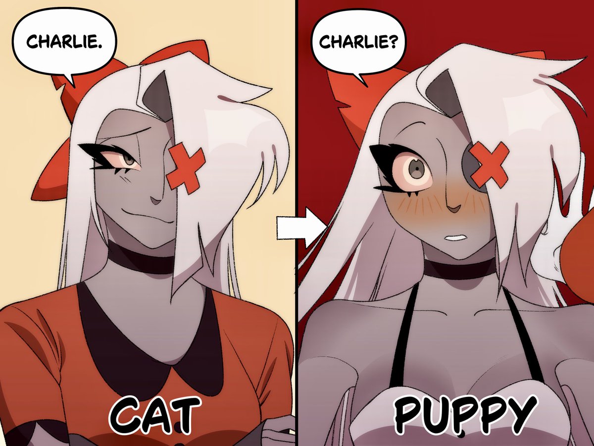 I like the contrast
#chaggie