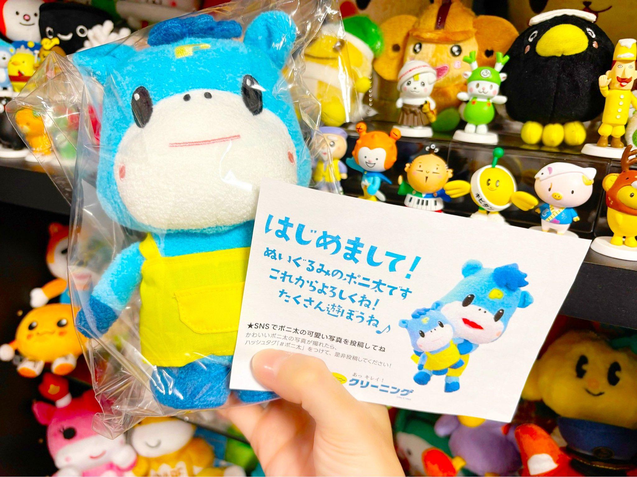 ポニークリーニング ぬいぐるみポニ太 ポニークリーニング公式オンラインストア | グッズ一覧 | ポニ太