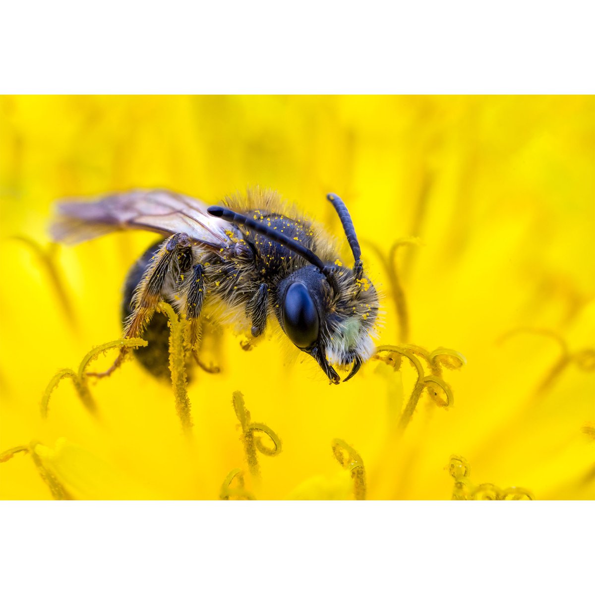 SchoolofPhot0's tweet photo. Zoom In on the Savings – 20% off 🔍

Save 20% on all Online Courses, including our Macro Course or our Yearly Membership in our Summer sale. Use Code SUMMER25 on Checkout. Link below 🔽 Ending Soon ⏰

https://t.co/8l7ge1QX1g

📸 Oliver Wright @ocwright https://t.co/EBmaTpfmdE