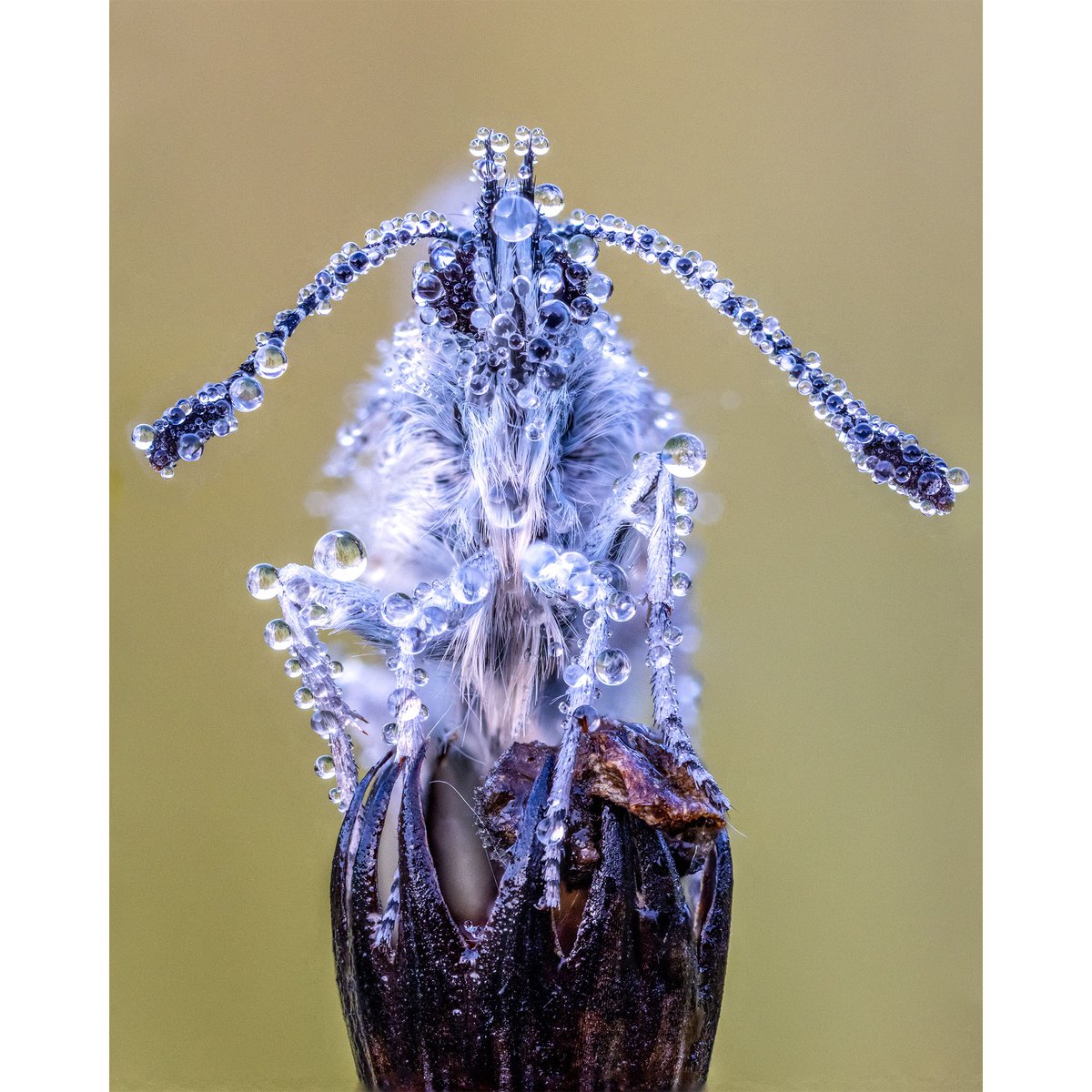 SchoolofPhot0's tweet photo. Zoom In on the Savings – 20% off 🔍

Save 20% on all Online Courses, including our Macro Course or our Yearly Membership in our Summer sale. Use Code SUMMER25 on Checkout. Link below 🔽 Ending Soon ⏰

https://t.co/8l7ge1QX1g

📸 Oliver Wright @ocwright https://t.co/EBmaTpfmdE