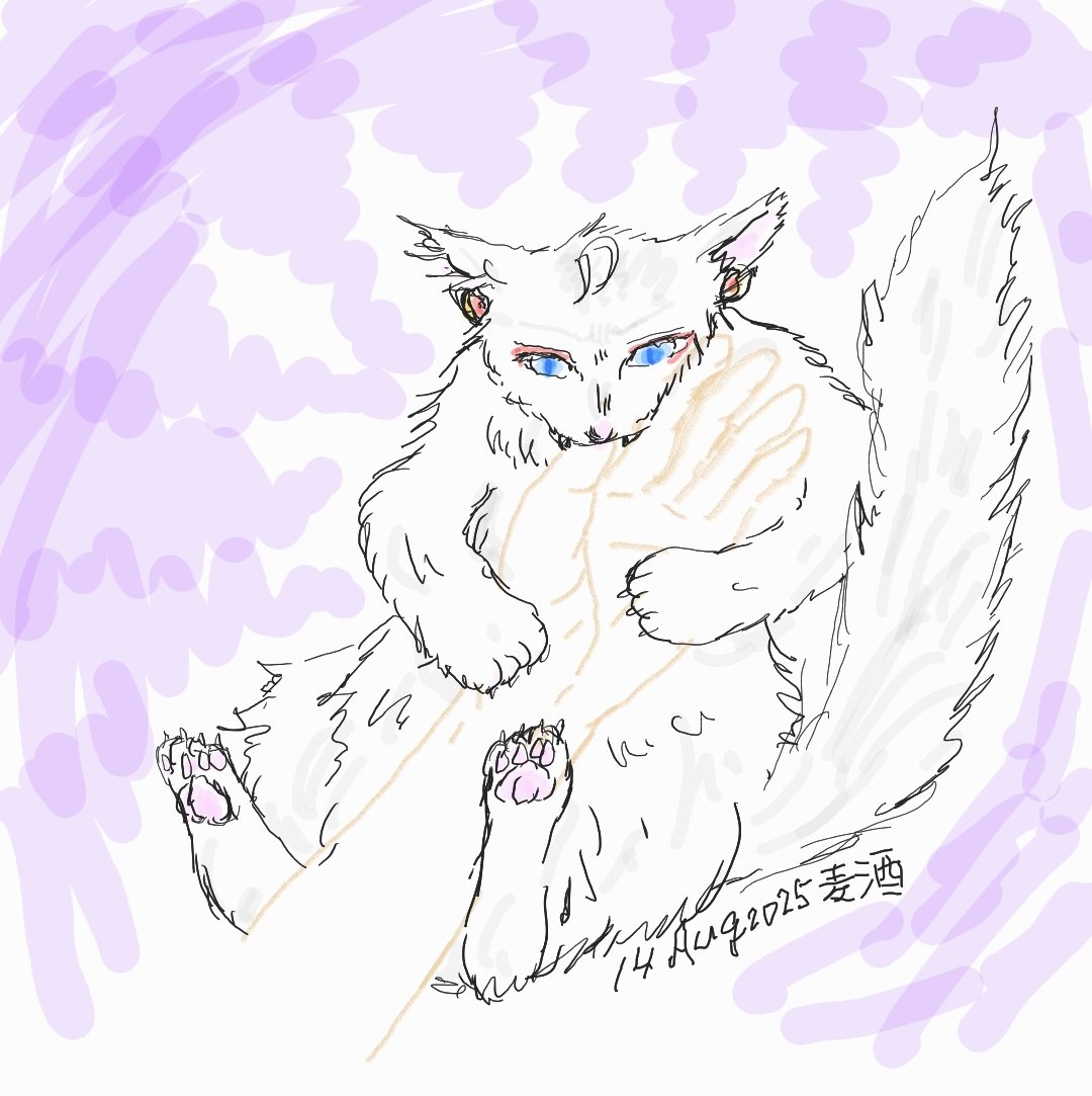 aknkNuma's tweet image. 💍の手注意
「気に食わない触り方をした時はどうなるかわかっているだろうな？」
#シロにゃん
#麦酒のらくがき
#SamsungNote