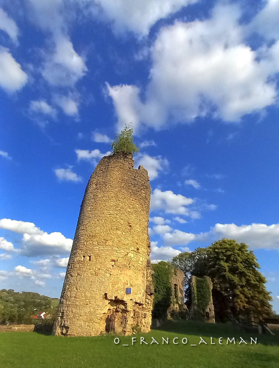 o_franco_aleman's tweet image. ruines du château de Frauenberg

#Moselle #Lorraine #France
#MagnifiqueFrance #architecture #history 
#histoire #photographie #photography