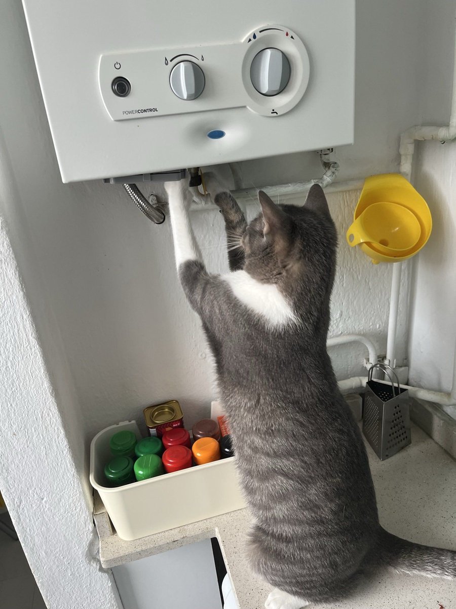 He's here to fix/explode the boiler.

📸 PitaFdezPita