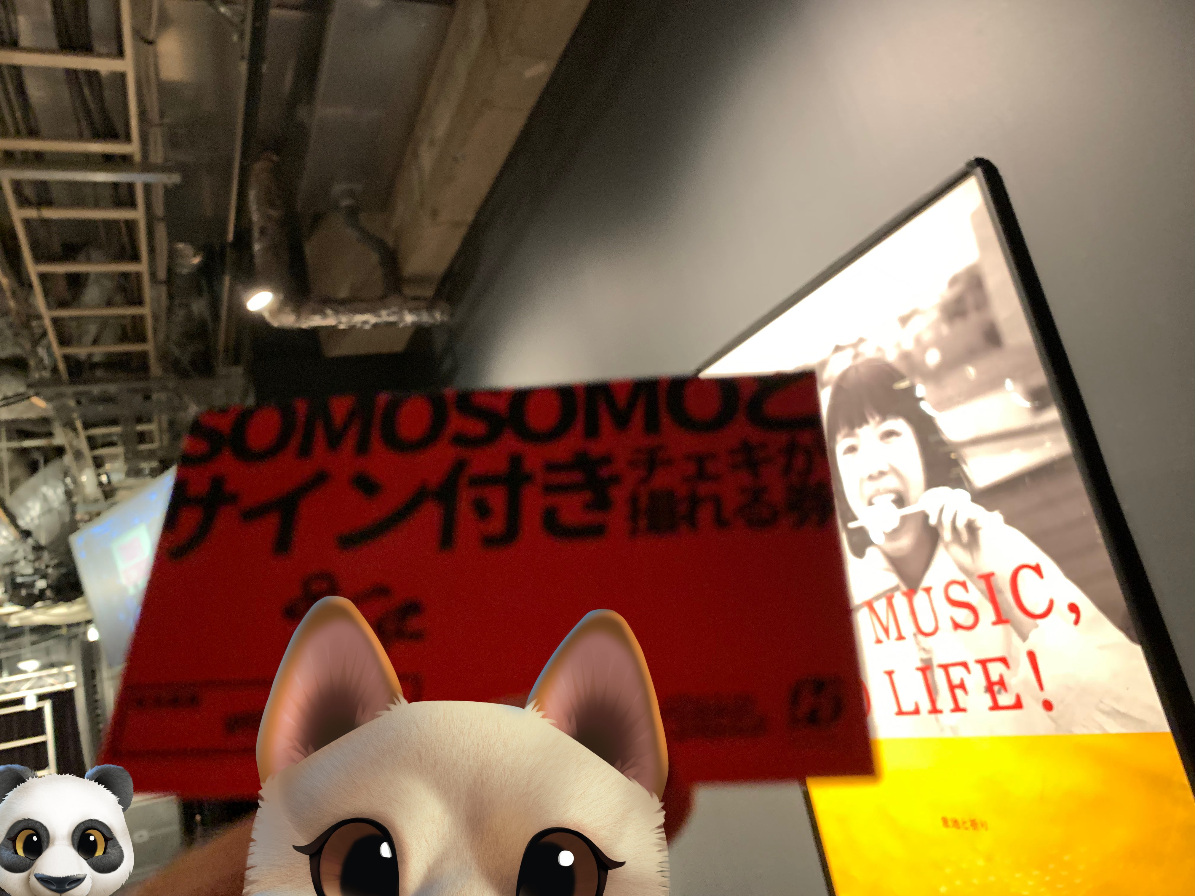 せっちゃん on X: 