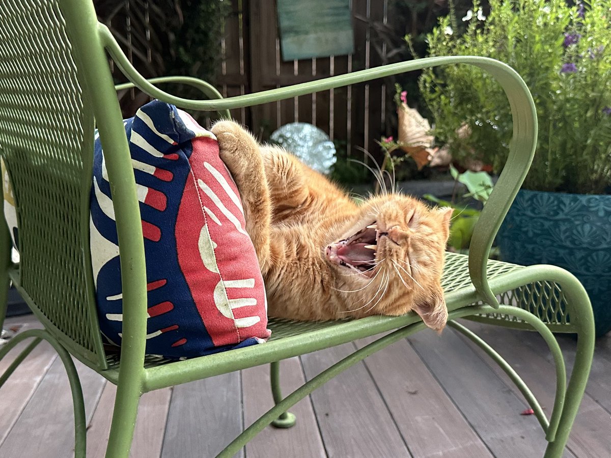 Patrick Skinner tweet media