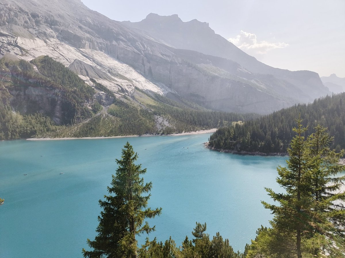 Ciaran Murphy🐮🌾 tweet media