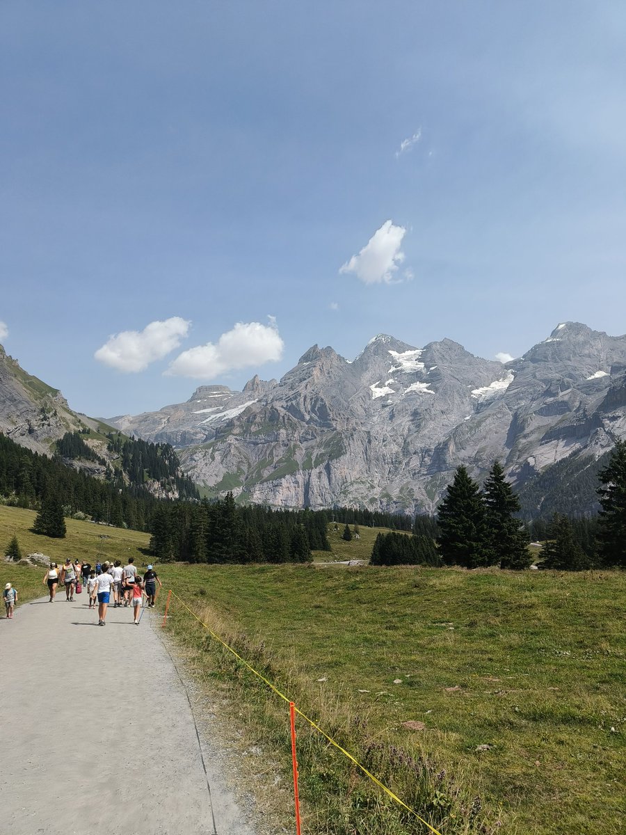 Ciaran Murphy🐮🌾 tweet media