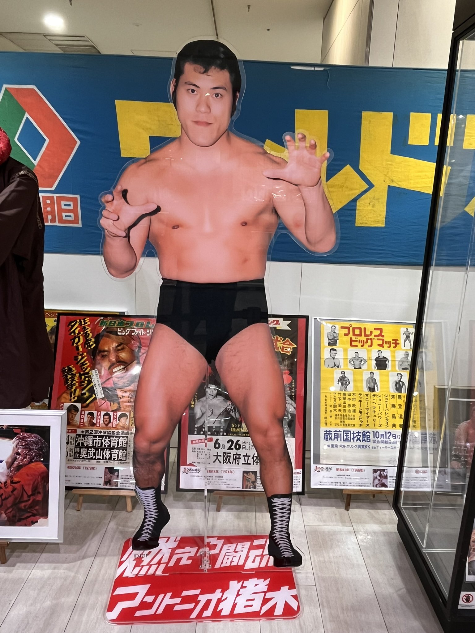 アントニオ猪木 61TvfCI5hJL._UF894,1000_QL80_.jpg
