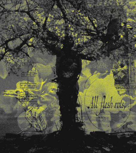 noirvorant's tweet image. ⠀⠀⠀⠀⠀⠀⠀⠀⠀⠀   ⠀⠀⠀𝕮𝐀𝐍𝐍𝐈𝐁𝐀𝐋   𝝃  ℒ𝙾𝚅𝙴𝚁