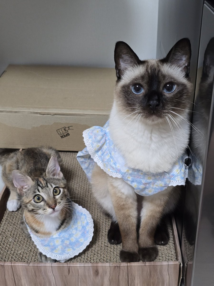 하숙생과 함께...
마지막날!