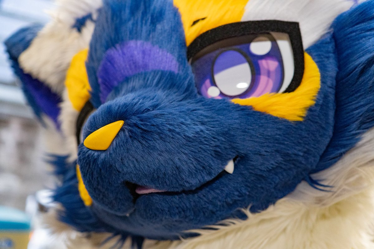 #顔だけで何リポスト来るか