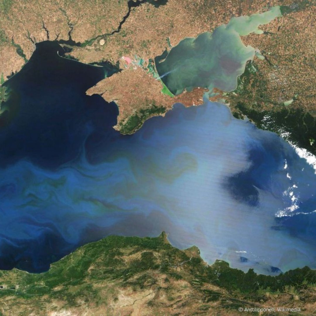 The Black Sea is one of the most disturbed marine ecosystems in the 🌍, facing many stressors such as:
🎣overfishing
❌pollution
🌊coastal erosion
⚠️#InvasiveAlienSpecies
🌡️#ClimateChange

A new EU-backed ‘Blue2’ model provides vital data to tackle this 👉 europa.eu/!dcQP8F