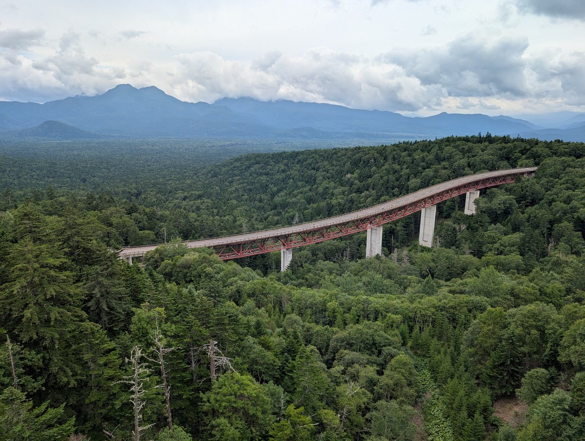 夏の松見大橋。深い緑の針葉樹と明るい緑の広葉樹が混ざり合う森の中、赤い橋がよく目立ちます。