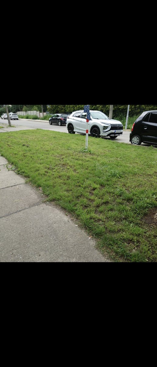 bauz_bln's tweet photo. In #Berlin wird wie jedes Jahr völlig sinnlos gemäht und wertvoller #Hitzeschutz und #Lebensraum zerstört und 2 Meter weiter wird #Ambrosia stehen gelassen 🤦🏼♀️☹️
#Berlin @NABU_Berlin #mitwelt https://t.co/gg55PUoUZ6