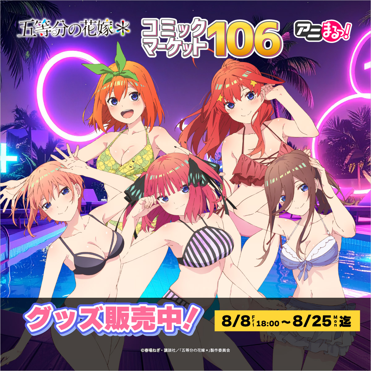 【タイトルカップ】五等分の花嫁【FV/敢闘賞】 五等分の花嫁∽ | シャフト公式オンラインショップ SHAFT TEN
