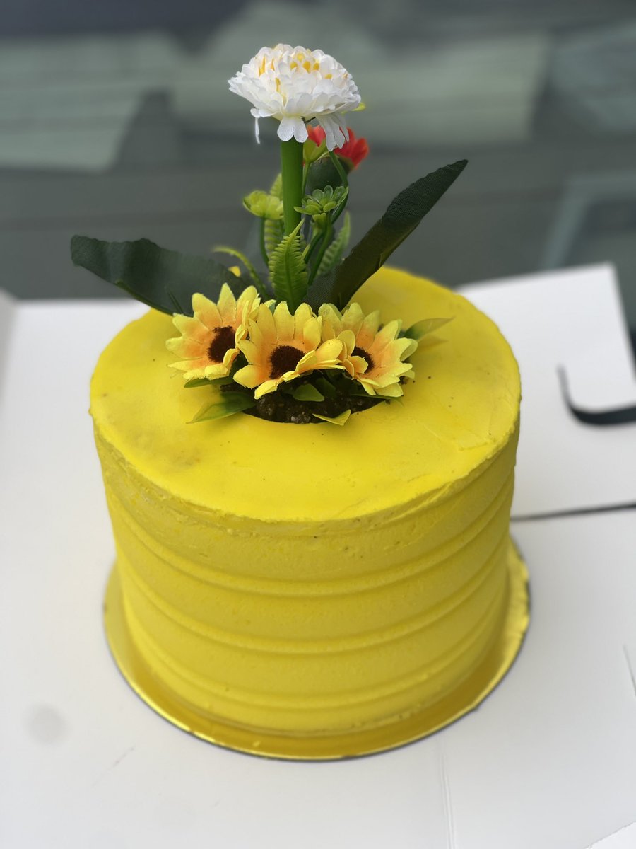 Category: Flower pot cake 

Pick your fave 🥰