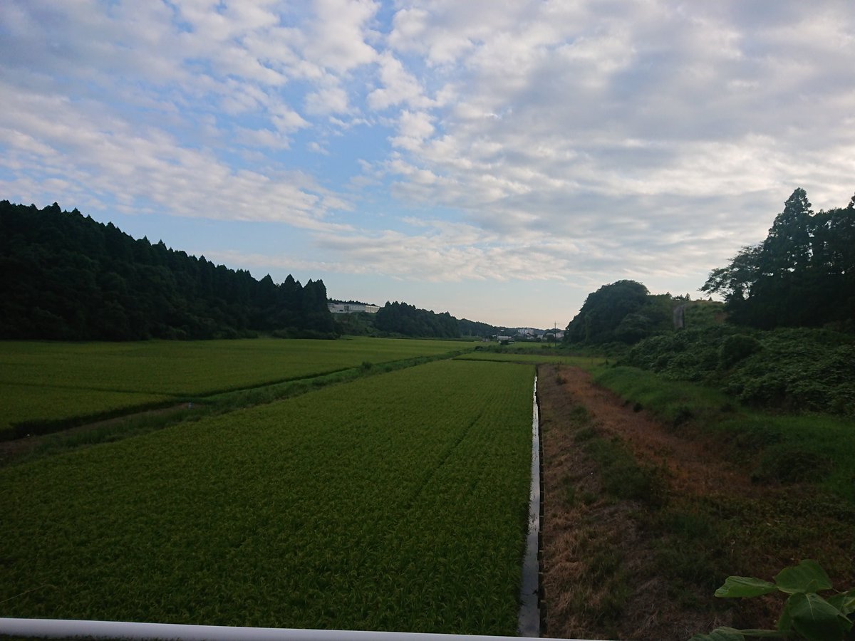 barcode_citizen's tweet photo. 誰も歩いてなくて最高にウォーキングはかどる https://t.co/T9IyCvHMyQ