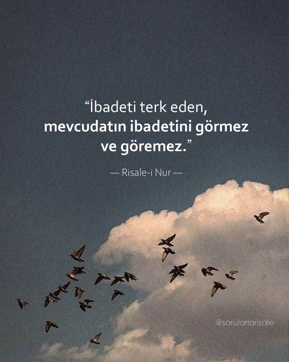 sorularlarisale's tweet photo. Her varlığın kendisine verilen fıtrî vazifesini yapması onun ibadetidir. 
— İnsan da kendisine emredilen namaz vd. ibadetini yapmakla mevcudatın ibadetlerini hatırlar ve bir derece görebilir... https://t.co/IDHXpKMlkd
