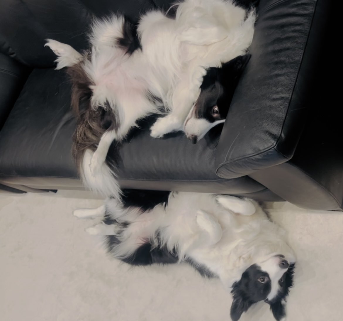 2段ベッド😆