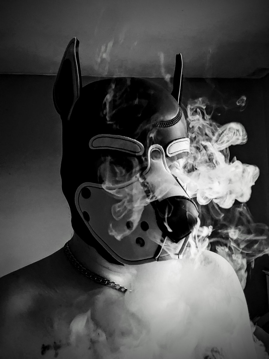 ZombiePupLuna's tweet photo. So just trying to do fancy artsy pics

#pupplay #kink #petplay #humanpup https://t.co/lG4iXHMibd