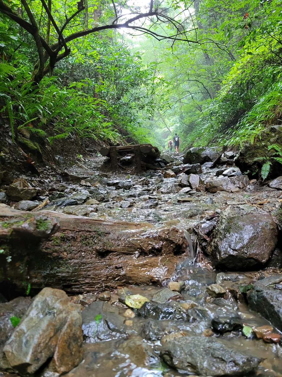 solocamp9595's tweet photo. 高尾山行ってきたー
今回は登り6号路下り1号路リフト無し！
登りの最後の階段はヤバかったー
下りでリフト素通りしてからのひたすら坂道下り…
これはもっとヤバかったー
てなわけで、渋滞無しのストレスフリーで今おビール。
やっぱり楽しいねー
後は友達さえいれば…w
#高尾山
#散歩
#ただのぼっち https://t.co/Ud12Ga4Nrg