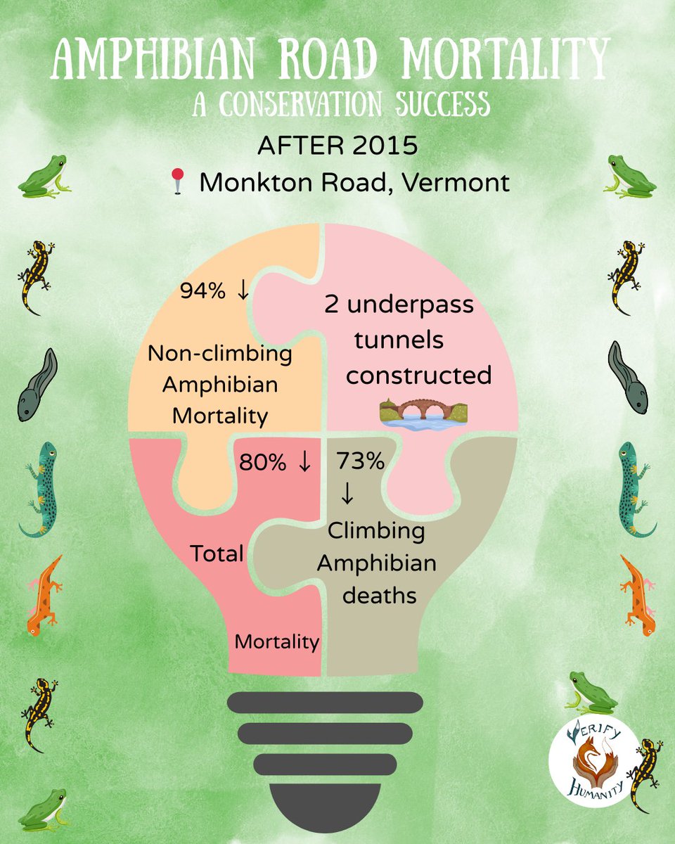 VeriHumanity's tweet photo. Every year, countless frogs and toads are crushed on roads. It doesn’t have to be this way. Wildlife underpasses slash amphibian deaths by 94%! The UK must adopt this proven solution now, before it’s too late for vulnerable species.
#WildlifeEncounters https://t.co/Jd62craWGV