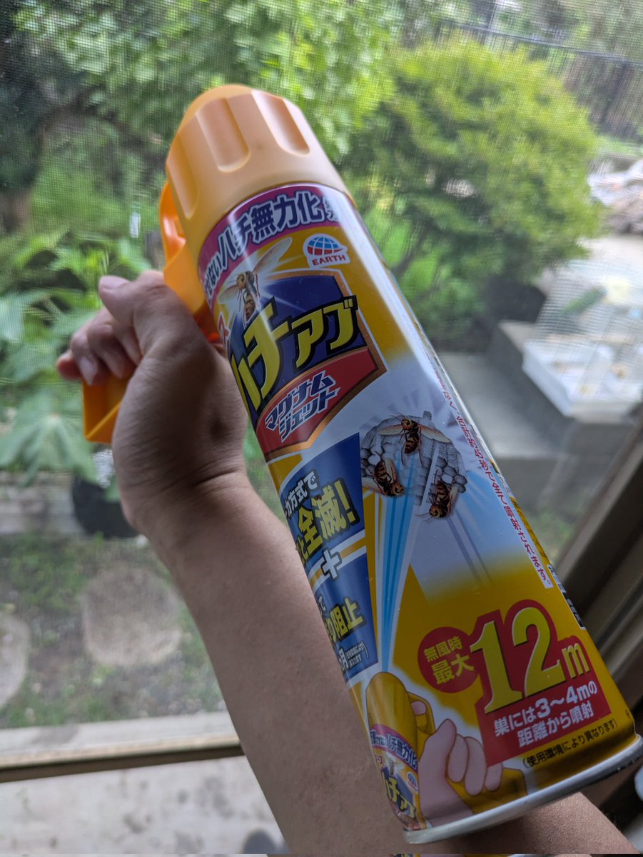 今夜、最低でも500匹を超すであろう大群のスズメバチと対決する。
この戦いが終わったら海の見えるところに小さな家を建てようと思ってるんだ。