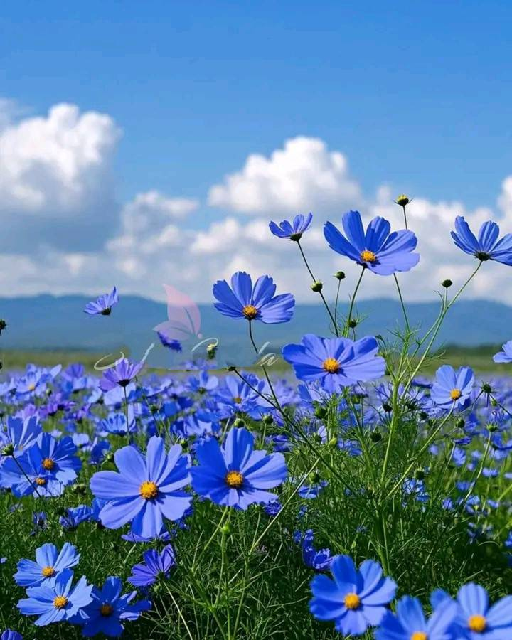 FMARTELGON's tweet photo. https://t.co/gvdnEmpH3F