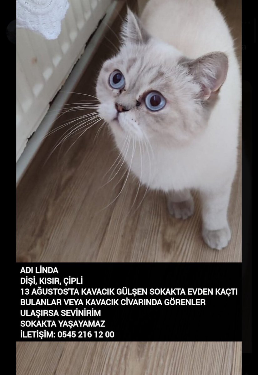 KAVACIK GÜLŞEN SOKAKTAN KAYIP