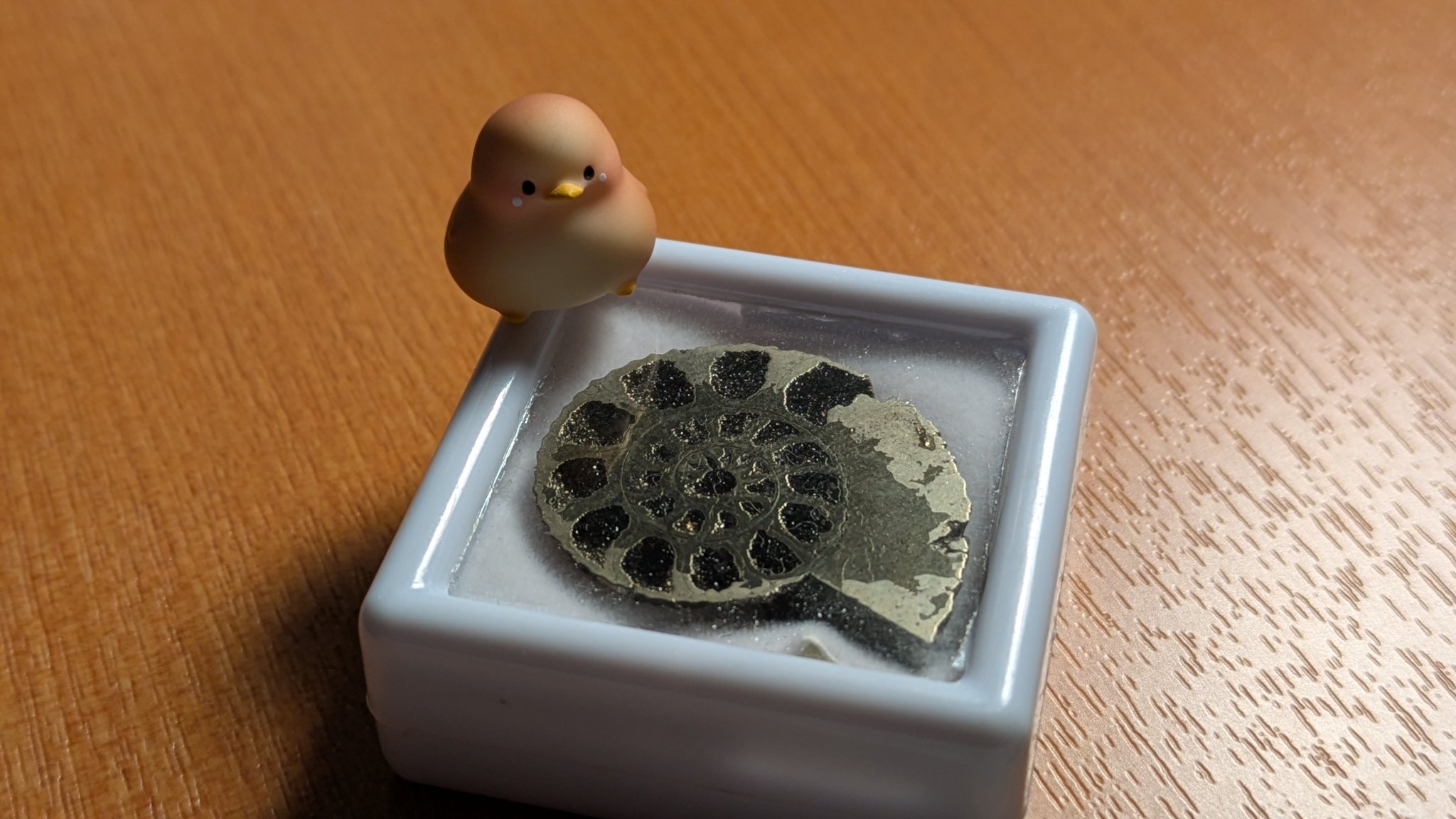 アンモナイト　遺品整理 258遺品整理品 ペンダントトップ ゴールド？ 金？ アンモライト