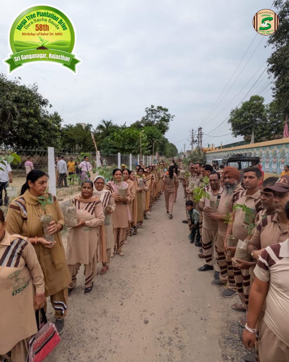GreenSwelfares's tweet photo. A promise made, and constant efforts,
Each tree planted heals the Earth, 
Millions of hands, plant saplings in celebration, 
Welcoming MSG Bhandara with tree plantation. 
Glimpses of Global Mega Tree Plantation Drive by volunteers. 

#GoGreen #MSGBhandara #MegaTreePlantationDrive #SriGanganagar #RamRahim