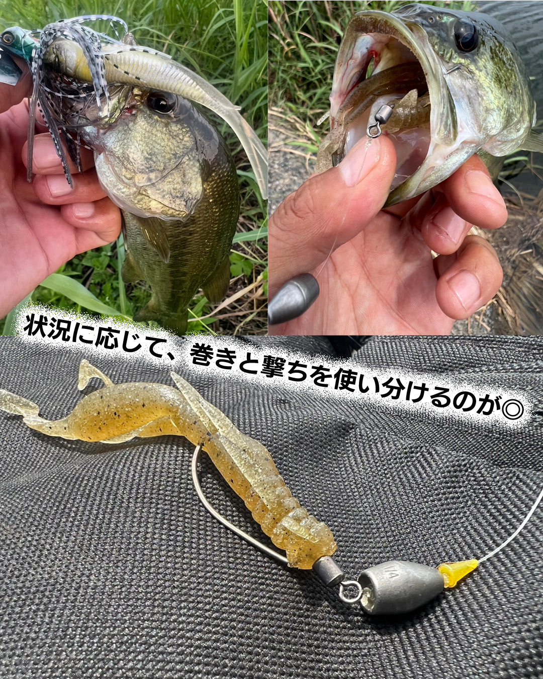 最終値下げマスラオ　ACT もののふ　カナデ　ズル引きゴビー 最終値下げマスラオ ACT もののふ カナデ ズル引きゴビー