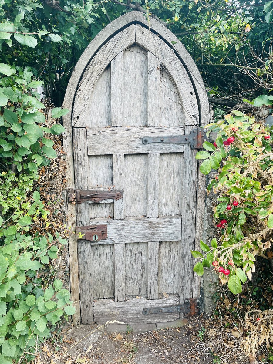 Kerry Allison tweet media