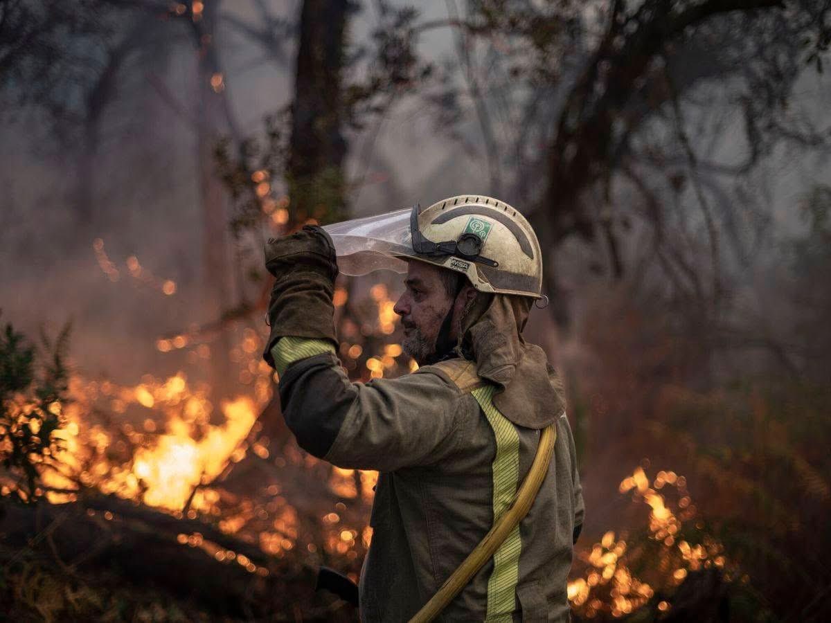 AveforFormacion's tweet photo. Gracias, héroes de fuego 

🔥 En cada incendio que arrasa nuestra tierra, hay valientes que se enfrentan al peligro para protegernos. 

Bomberos, Policías, Guardias Civiles, Sanitarios… 

��� España os abraza con gratitud y orgullo.
 
Mucha fuerza 🫂 https://t.co/f6fLeTeiCQ