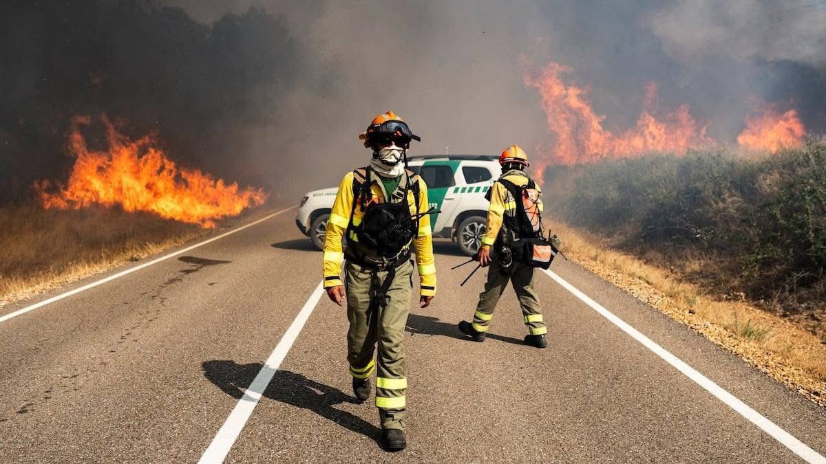 AveforFormacion's tweet photo. Gracias, héroes de fuego 

🔥 En cada incendio que arrasa nuestra tierra, hay valientes que se enfrentan al peligro para protegernos. 

Bomberos, Policías, Guardias Civiles, Sanitarios… 

��� España os abraza con gratitud y orgullo.
 
Mucha fuerza 🫂 https://t.co/f6fLeTeiCQ