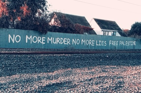 🇵🇸 🇳🇿 Spotted in Mana, New Zealand!